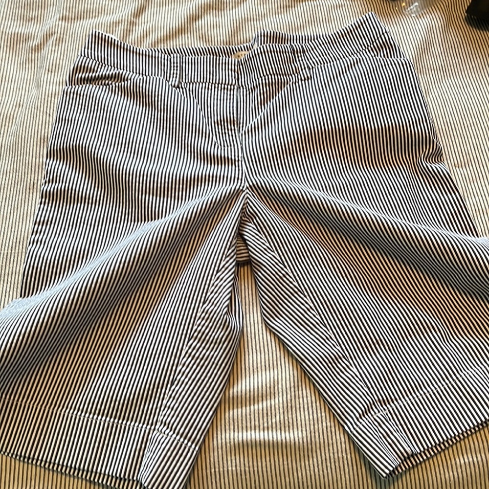 Size 10 shorts from Jones New York sport